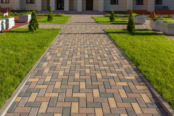 Best Local Driveway Pavers  in Northfield, MN